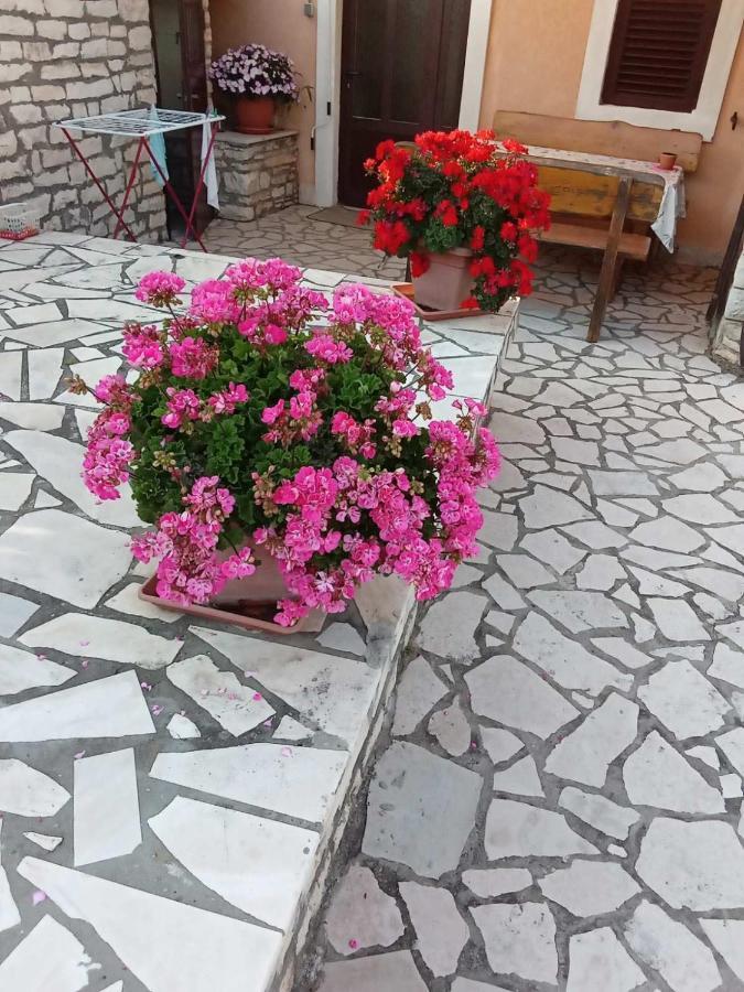 Apartmani Jurman Matohanci Bagian luar foto